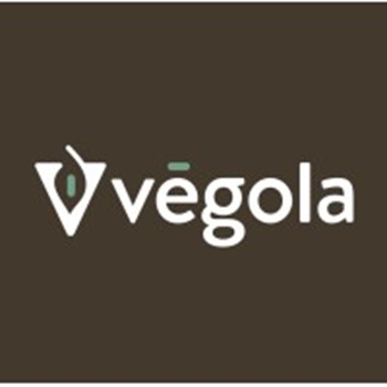 DINÁMICAS COMUNICACIÓN - VEGOLA